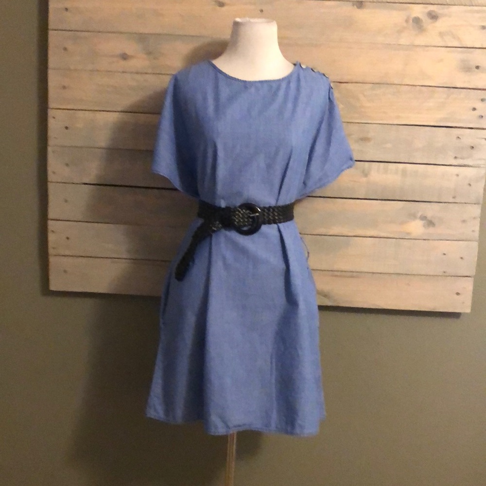 Zara Denim Dress